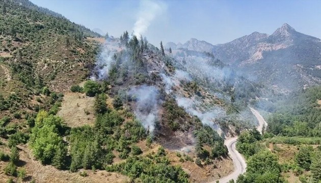 Adana Feke'de orman yangını çıktı